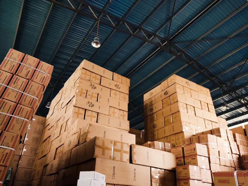 Buying Ammo in Bulk: What Smart Shooters Know That Beginners Don't